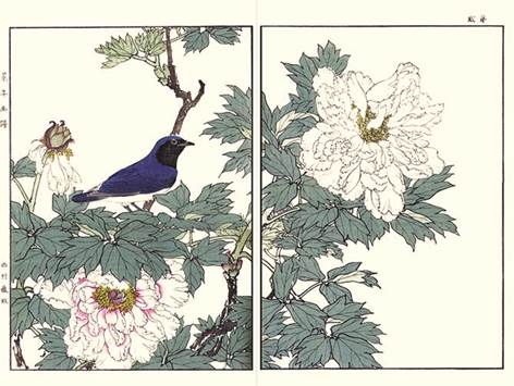 Kacho Gafu Exhibition of the Reader Collection of Japanese Flower